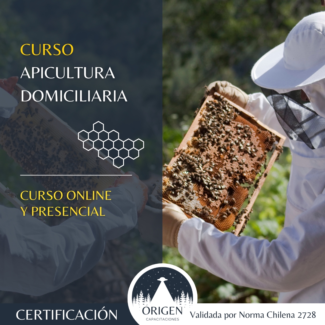 ORIGEN APICULTURA DOMICILIARIA
